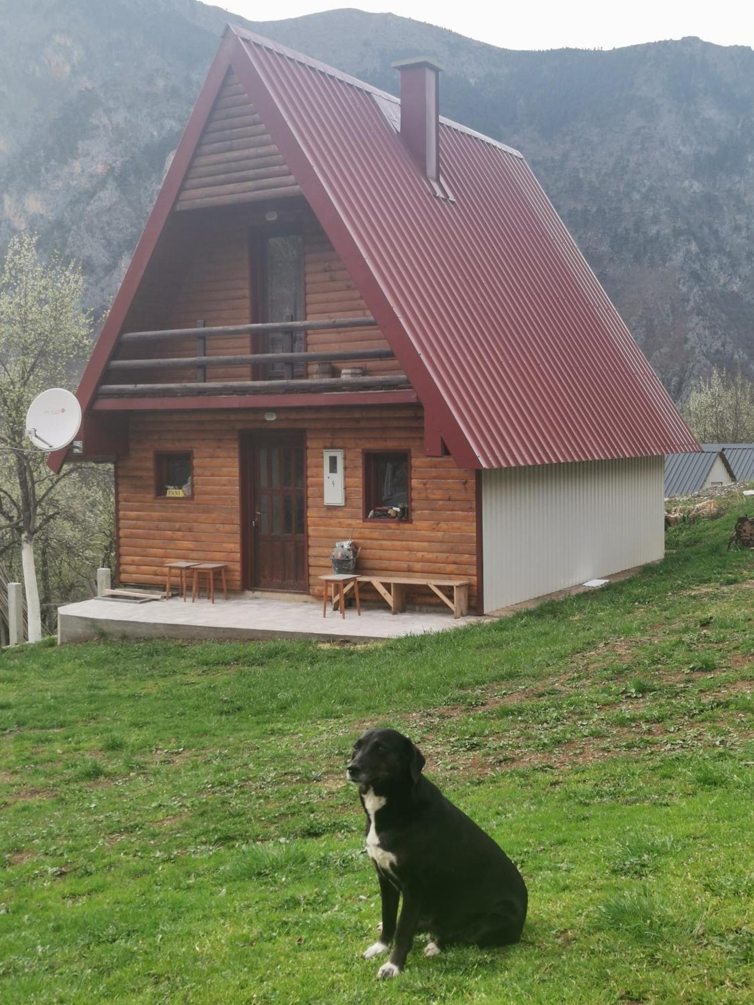 Ethno Cottage Momo Tepca Žabljak Cameră foto